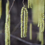 Urheber  Socialpictures CH